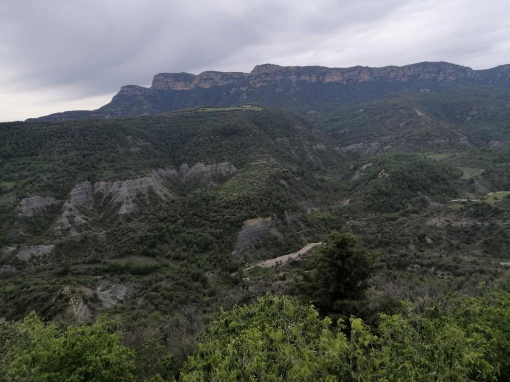 Casa Simon 2, Roda de Isábena