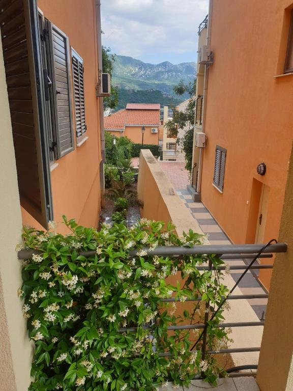 2room apartment becici sunset - 2