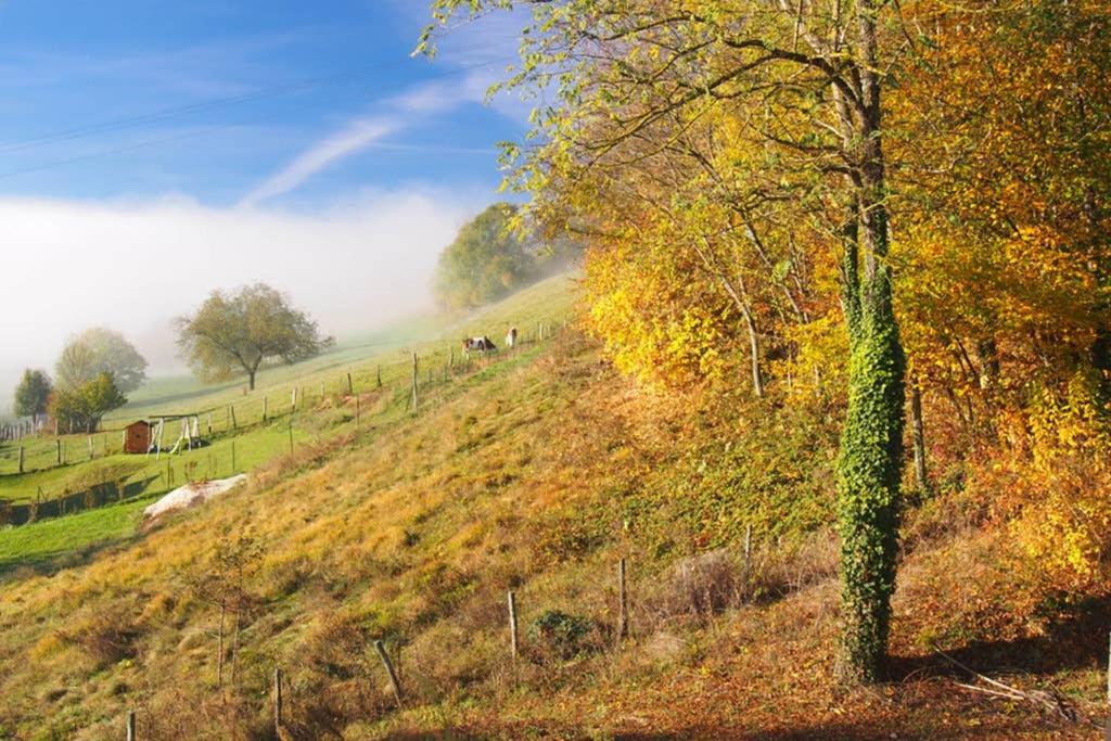 Le Merle Enchanteur - 4