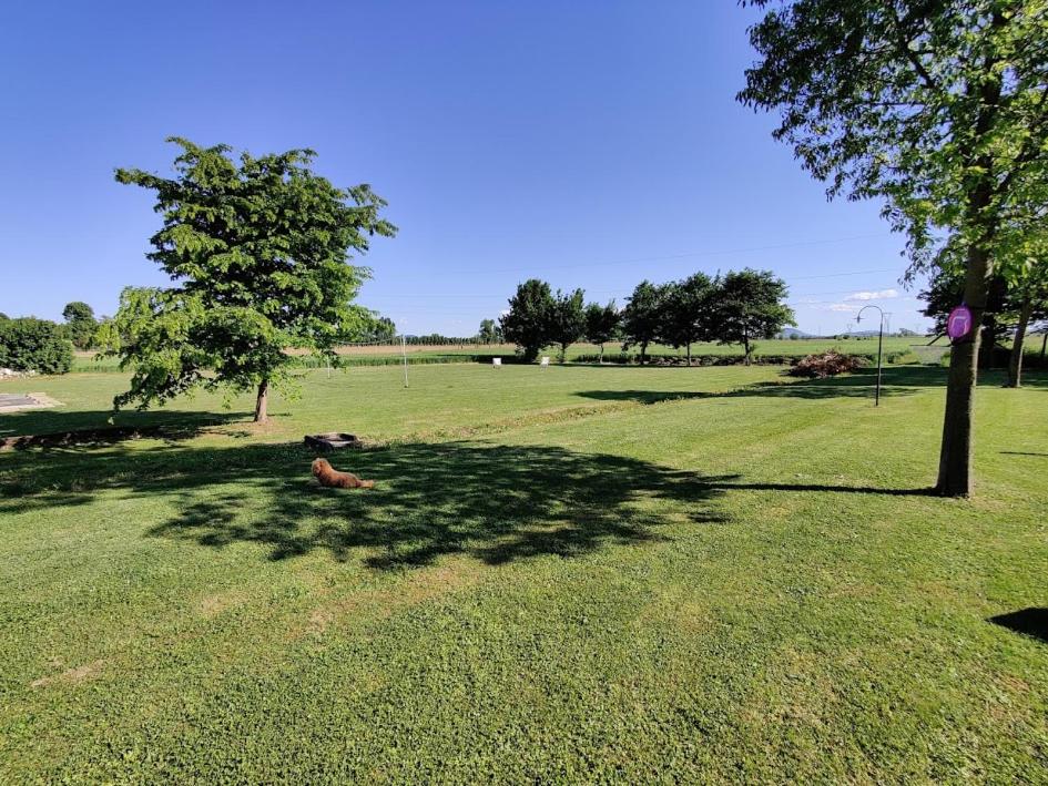 Agriturismo La Sophora photo
