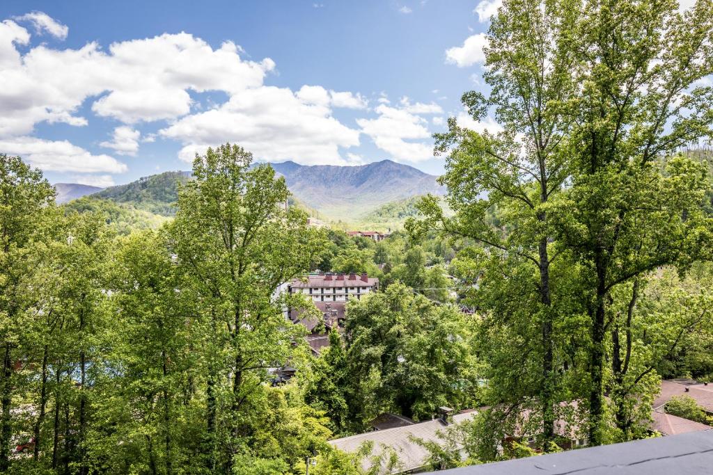 View, Chalet Inn in Gatlinburg (TN)