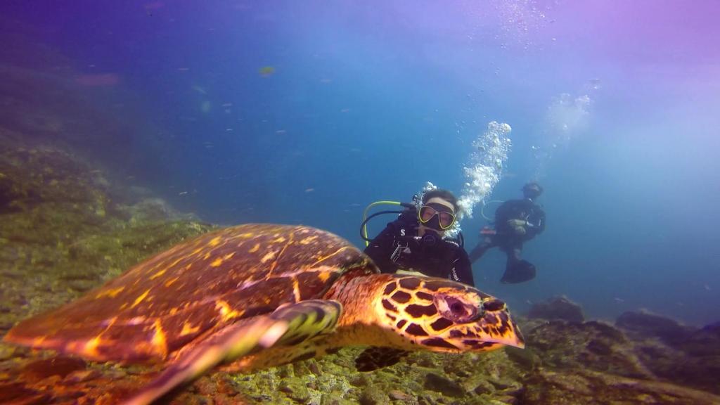 Sports and activities