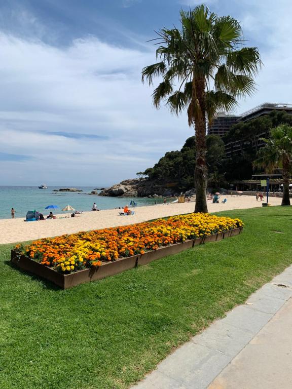 Apartamento en Torre Valentina, la mejor playa! - 1
