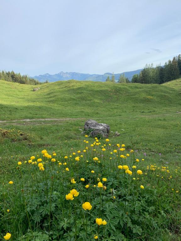REIT IM WINKL - ValleyViewInn - 4