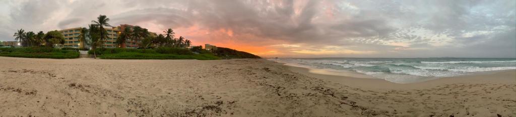 Cimarron Suites Playa Parguito photo