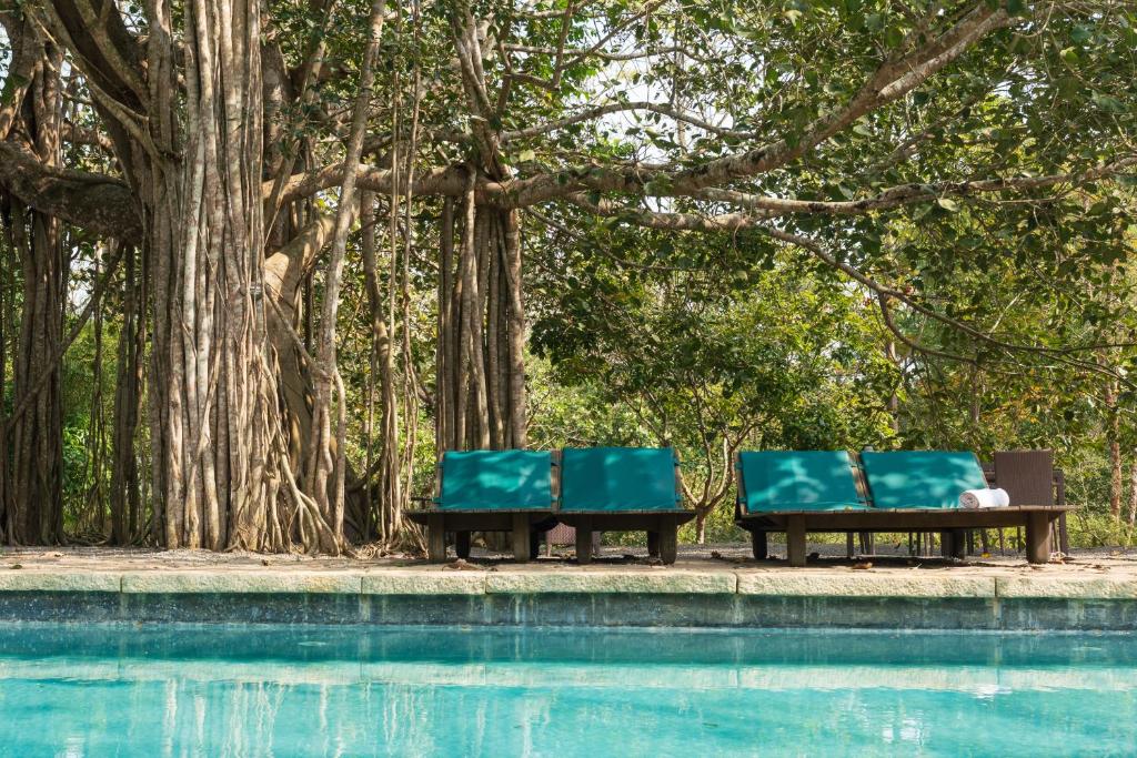 Kaav Safari Lodge, Kabini photo