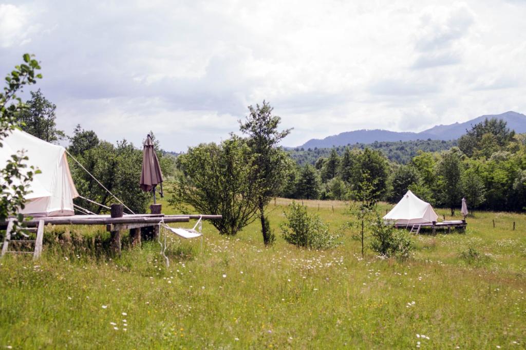 Hotelul de Bumbac-Crapul Furios — Hotel in Ocna Sugatag