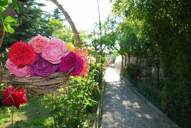 Hotel Trakia Garden — Attractions in the area in Sunny Beach, Burgas Region