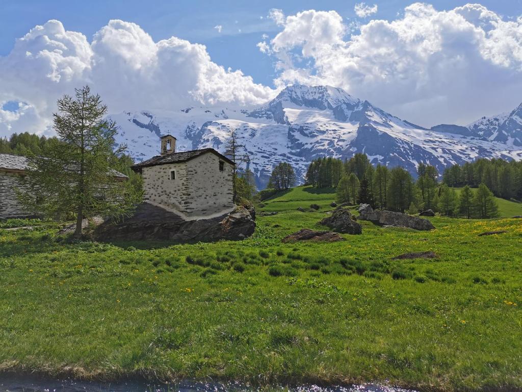 Surrounding environment