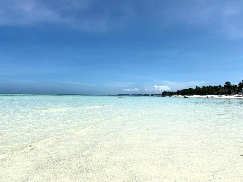 Beachfront Villa Hideaway ZanzibarHouses photo