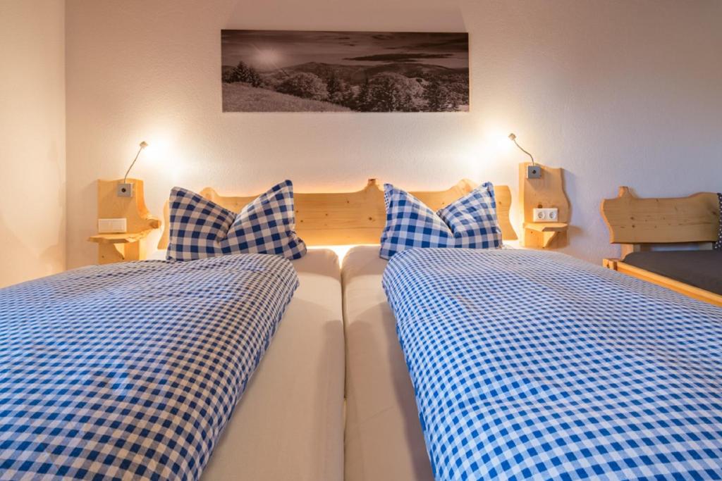 Ferienhaus Bach Gotthard - 4