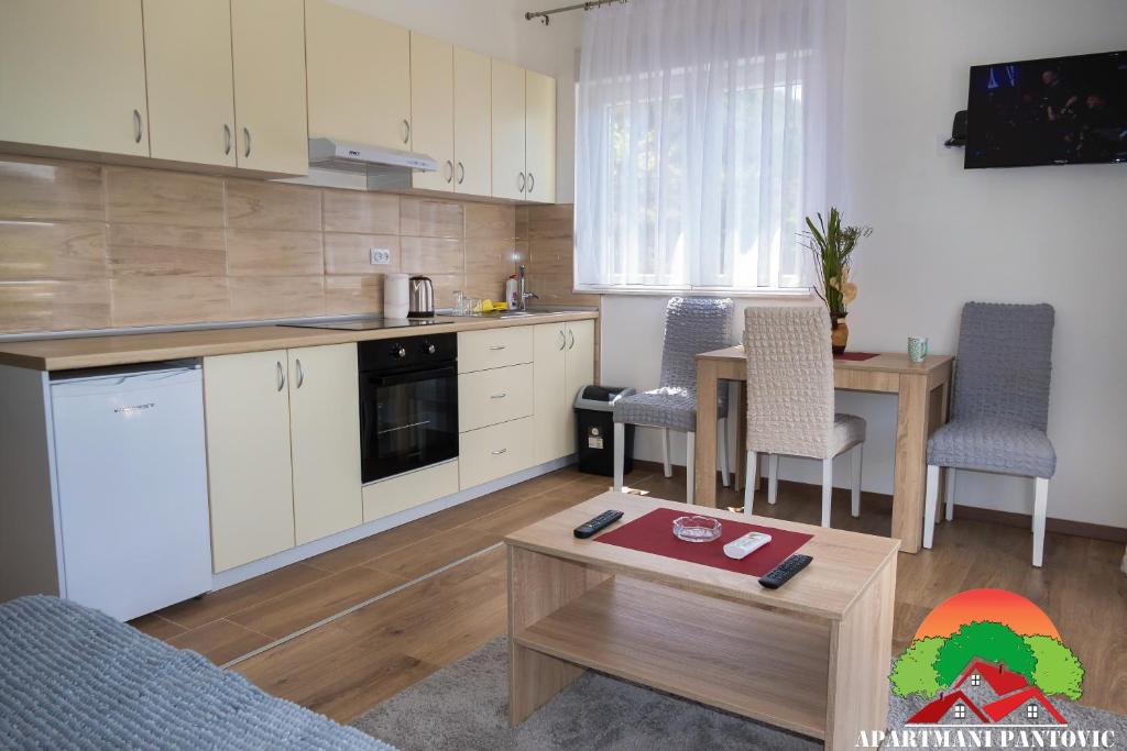 Apartmani Pantovic - Apartman 1 - 1