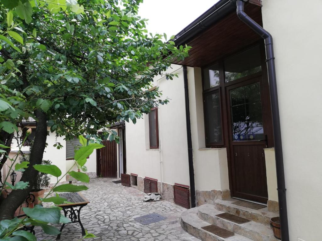 Arthouse Lucrezia, Temešvár