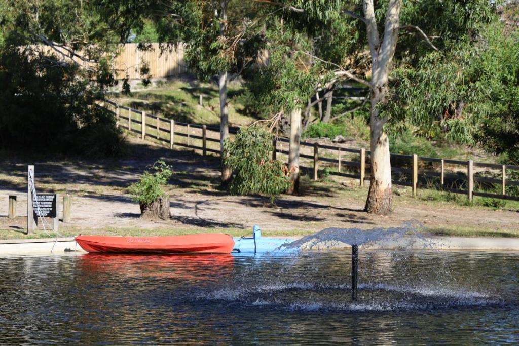 กิจกรรม