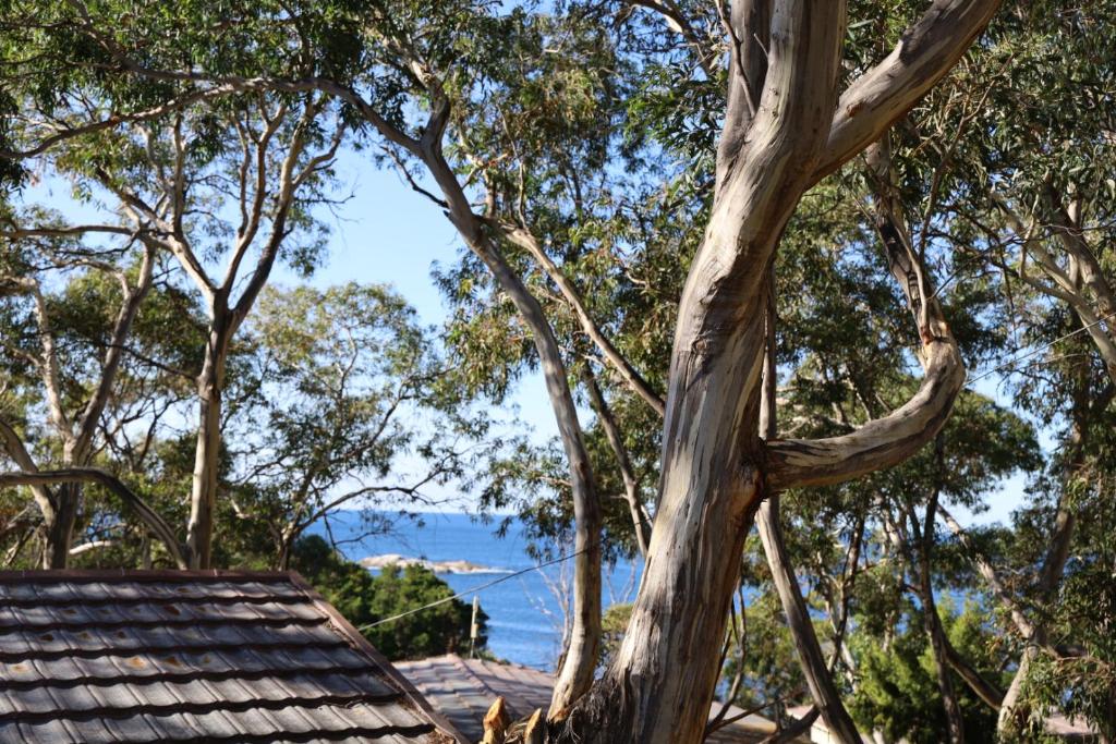 สภาพแวดล้อมโดยรอบ