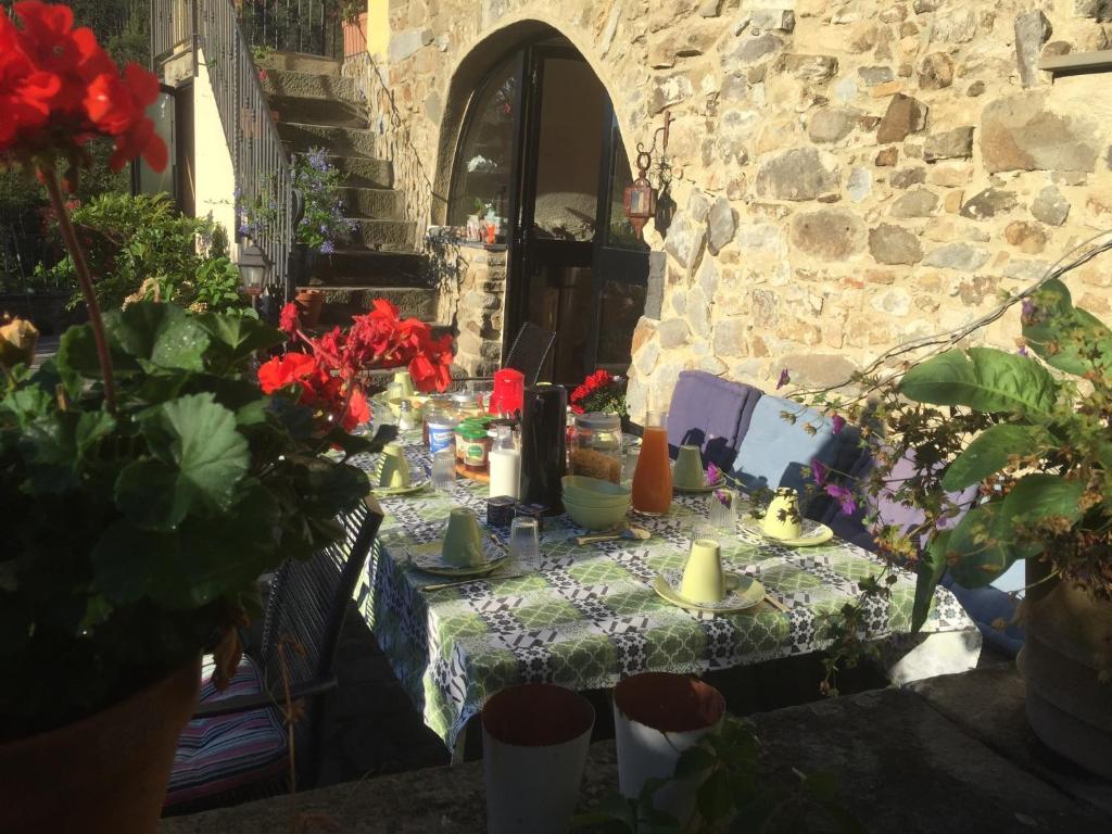 B&b Il Tulipano photo