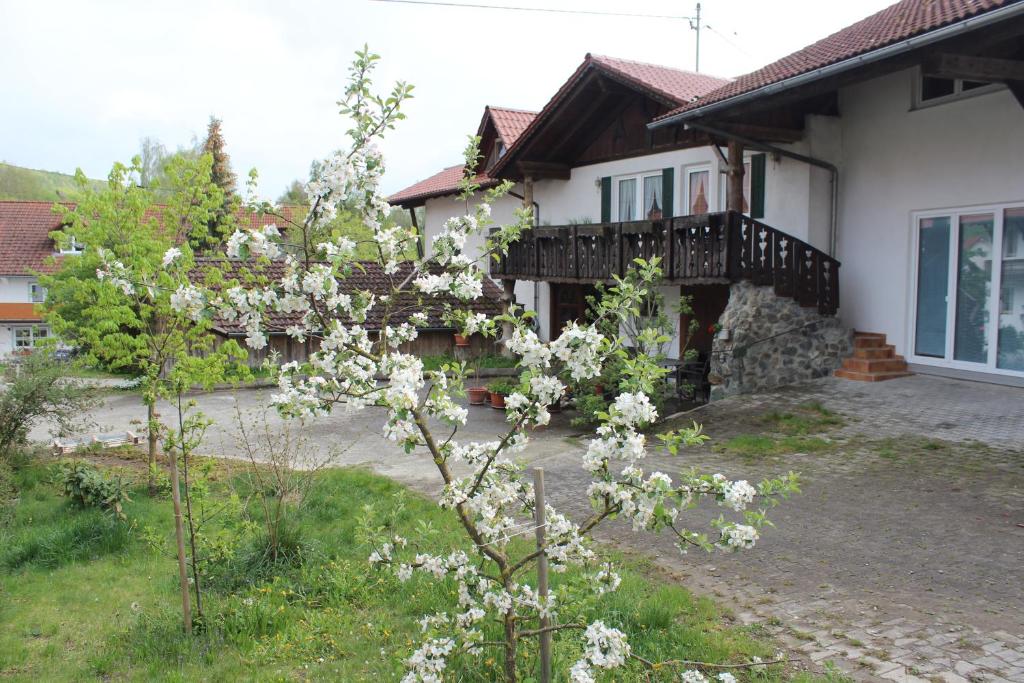 Appartement-Stetten - 3
