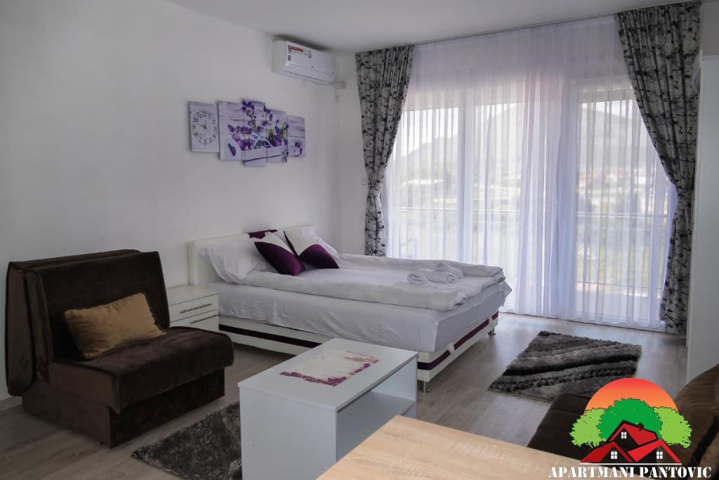 Apartmani Pantovic - Apartman 2 - 3