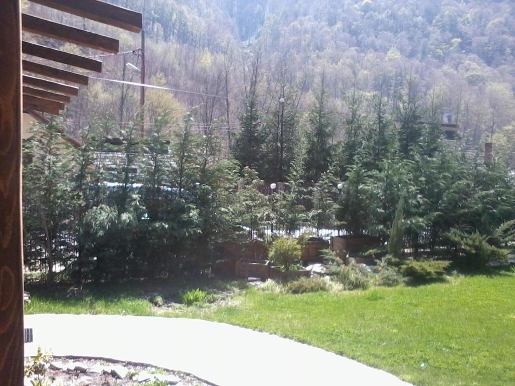 Cabana Perla photo