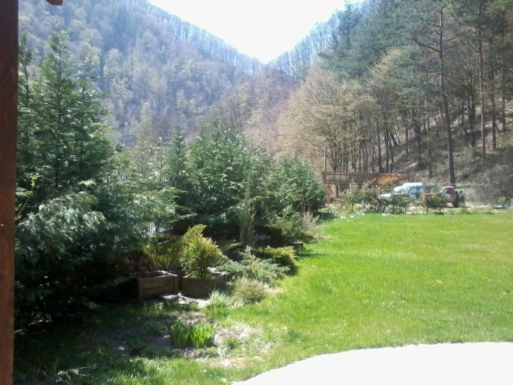 Cabana Perla photo