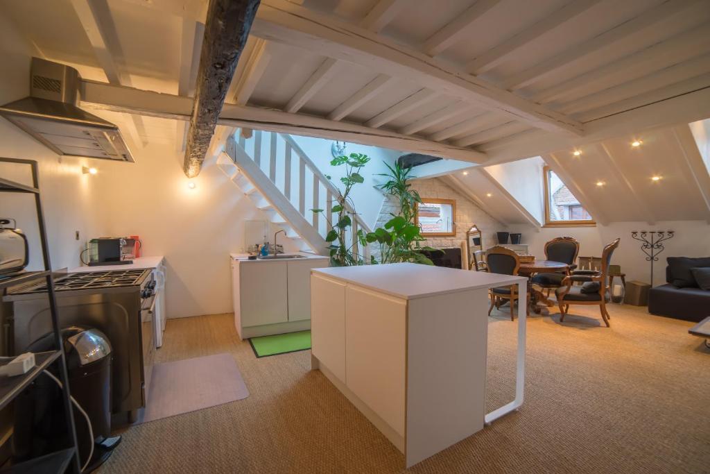 Appartements atypiques centre ville Annecy - 2