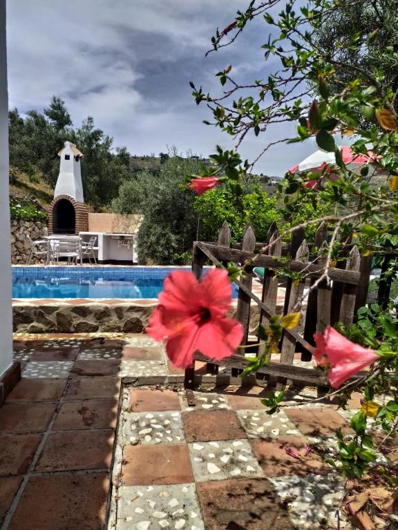 Cortijo la Joya, Cómpeta