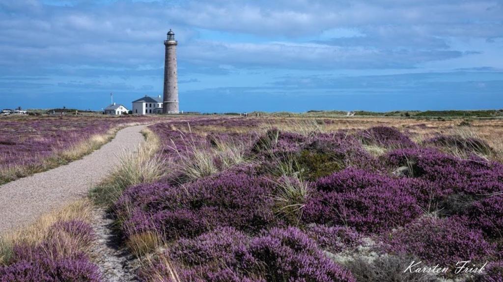 Surrounding environment