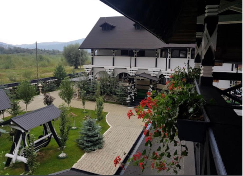 Complex Lions Bucovina photo