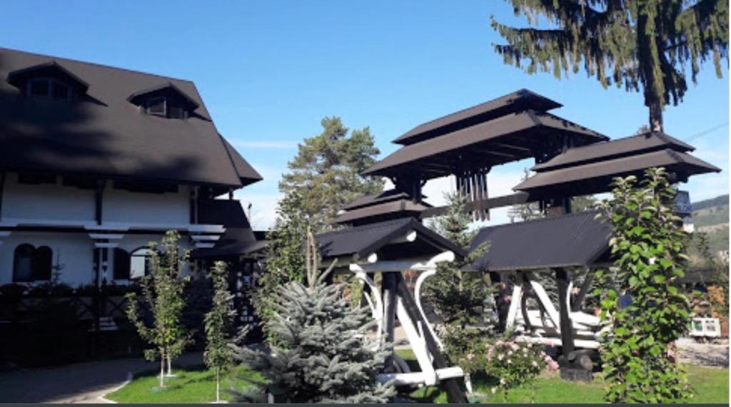 Complex Lions Bucovina photo