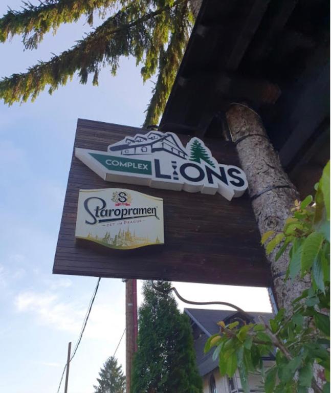 Complex Lions Bucovina photo