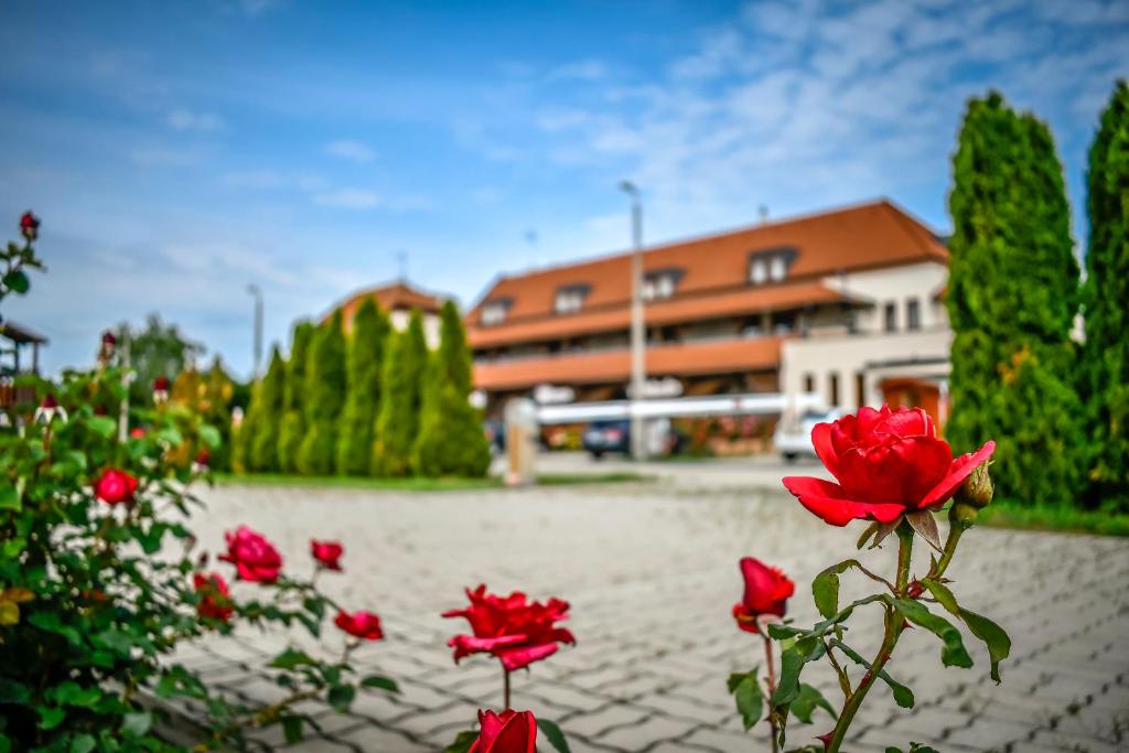 Hotel Rozsa Csarda photo