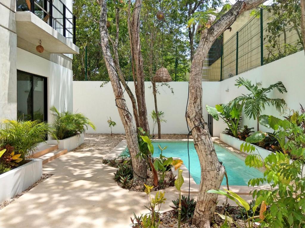 Mi Tulum - 4