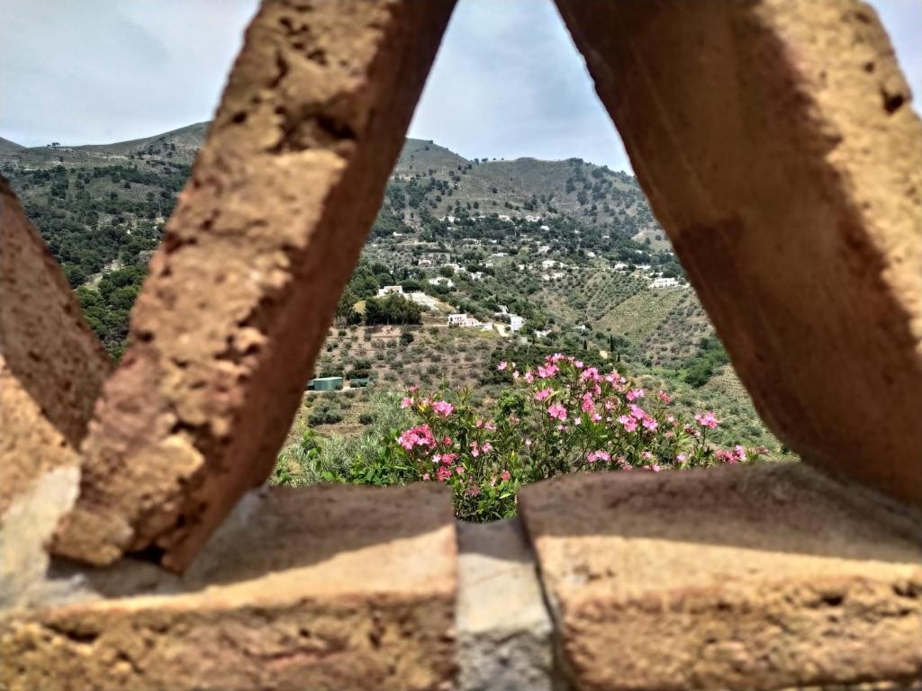 Cortijo la Joya - 4