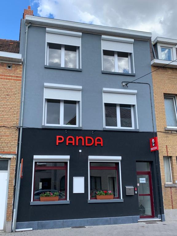 Panda Stella photo