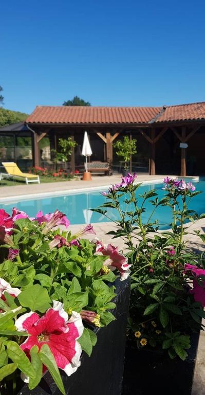 DOMAINE DE LA RESERVE photo