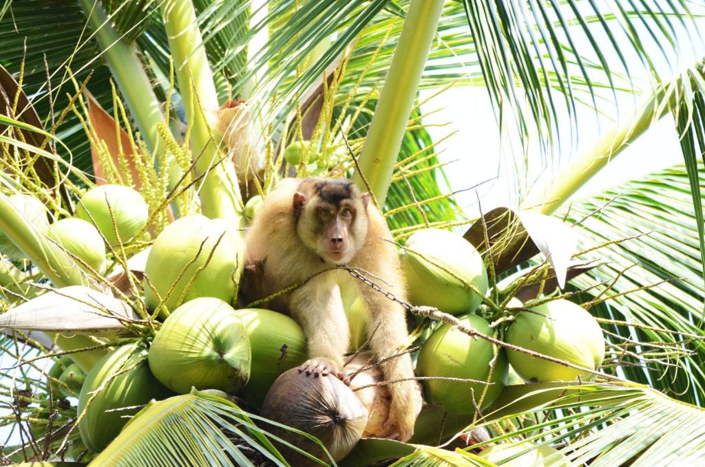 Surrounding environment