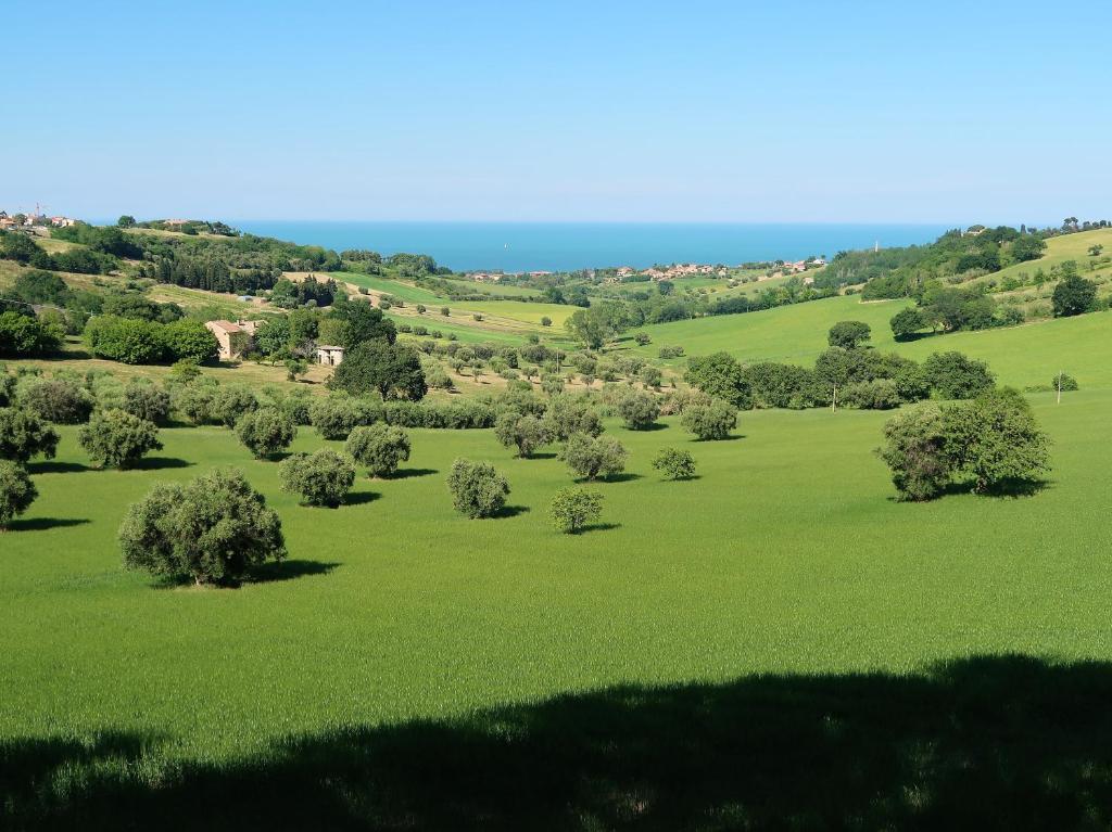 Terra da mare photo