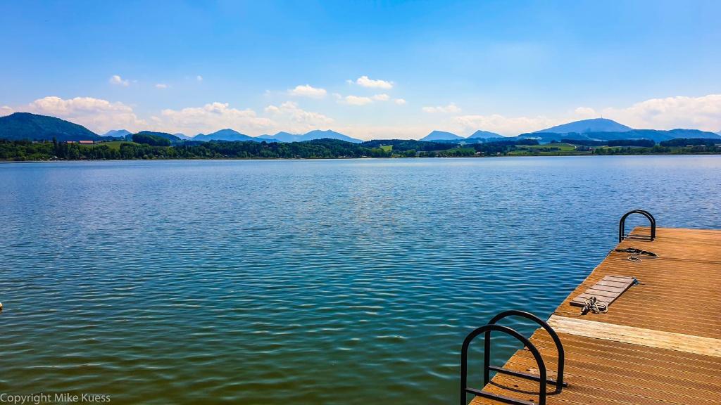 Urlaub am Wallersee - 2