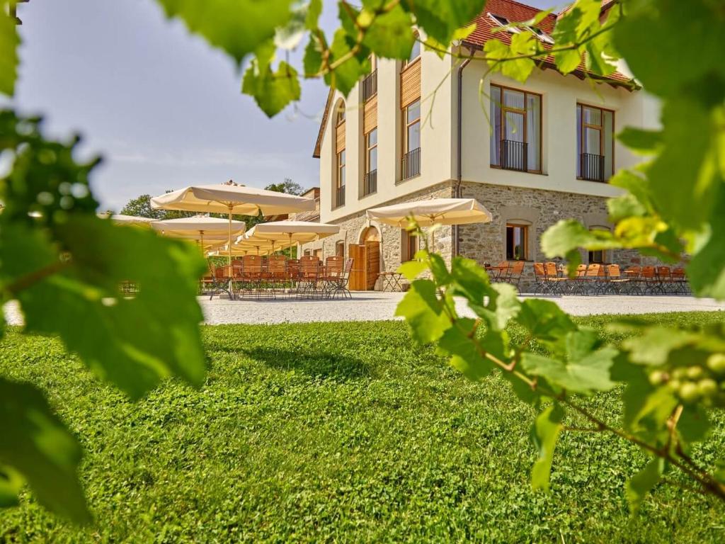 Weingut Taggenbrunn - 2