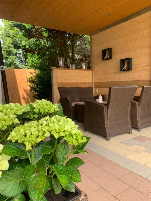 M's Wood Appartement - 5