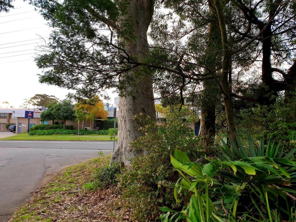 Surrounding environment