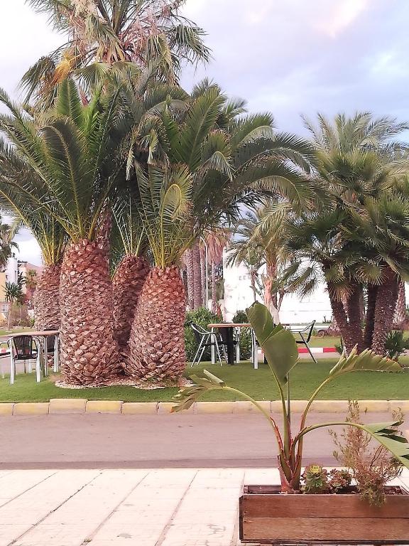Apartamento Naturista en primera línea en Natura World! - 3