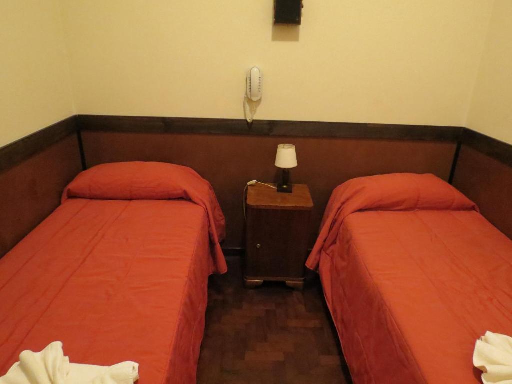 Hotel Raglan photo