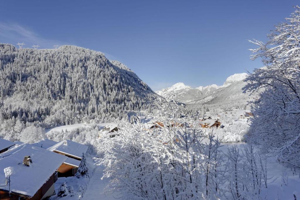 Les Loges Blanches - Apt C001 - BO Immobilier - Châtel -Reduced prices on ski passes Châtel & Portes du Soleil - 4
