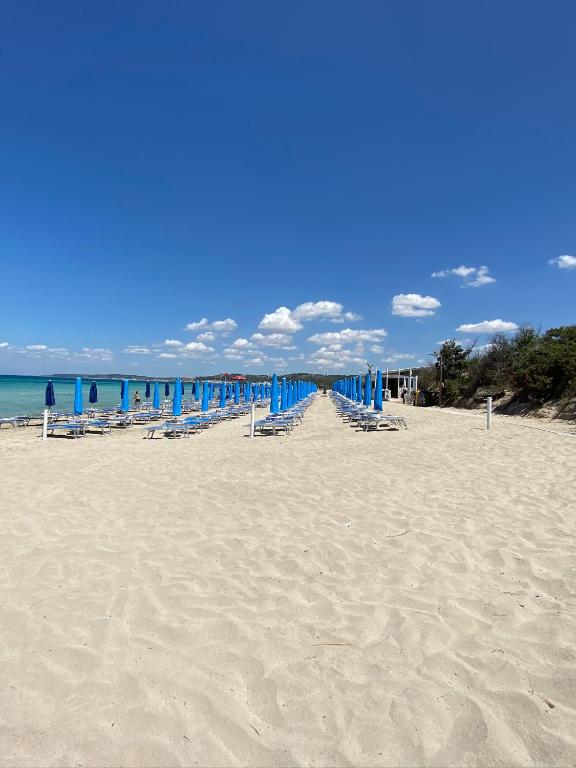 Trilocale sul mare - 5