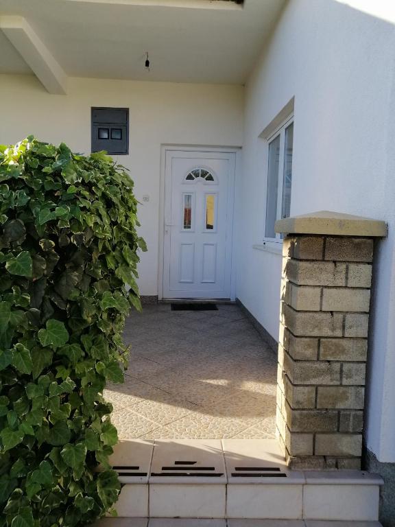 Apartmants Mazoljice - 3