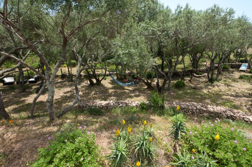 Maison Tavolara - 5