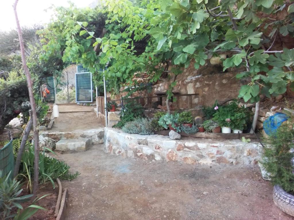 2 annexed houses -Private place to swim-large terrace- Unlimited view photo