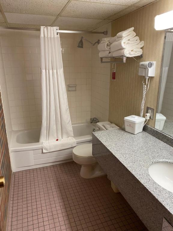 Ramada By Wyndham Lethbridge Photo 10