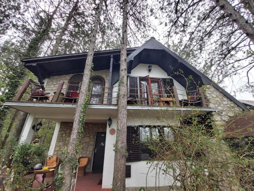 Guesthouse Bajka photo